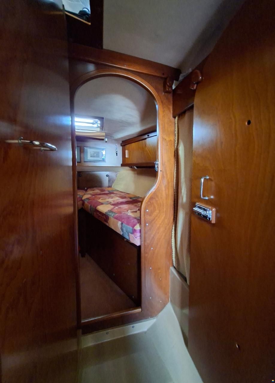 Amel Sharki