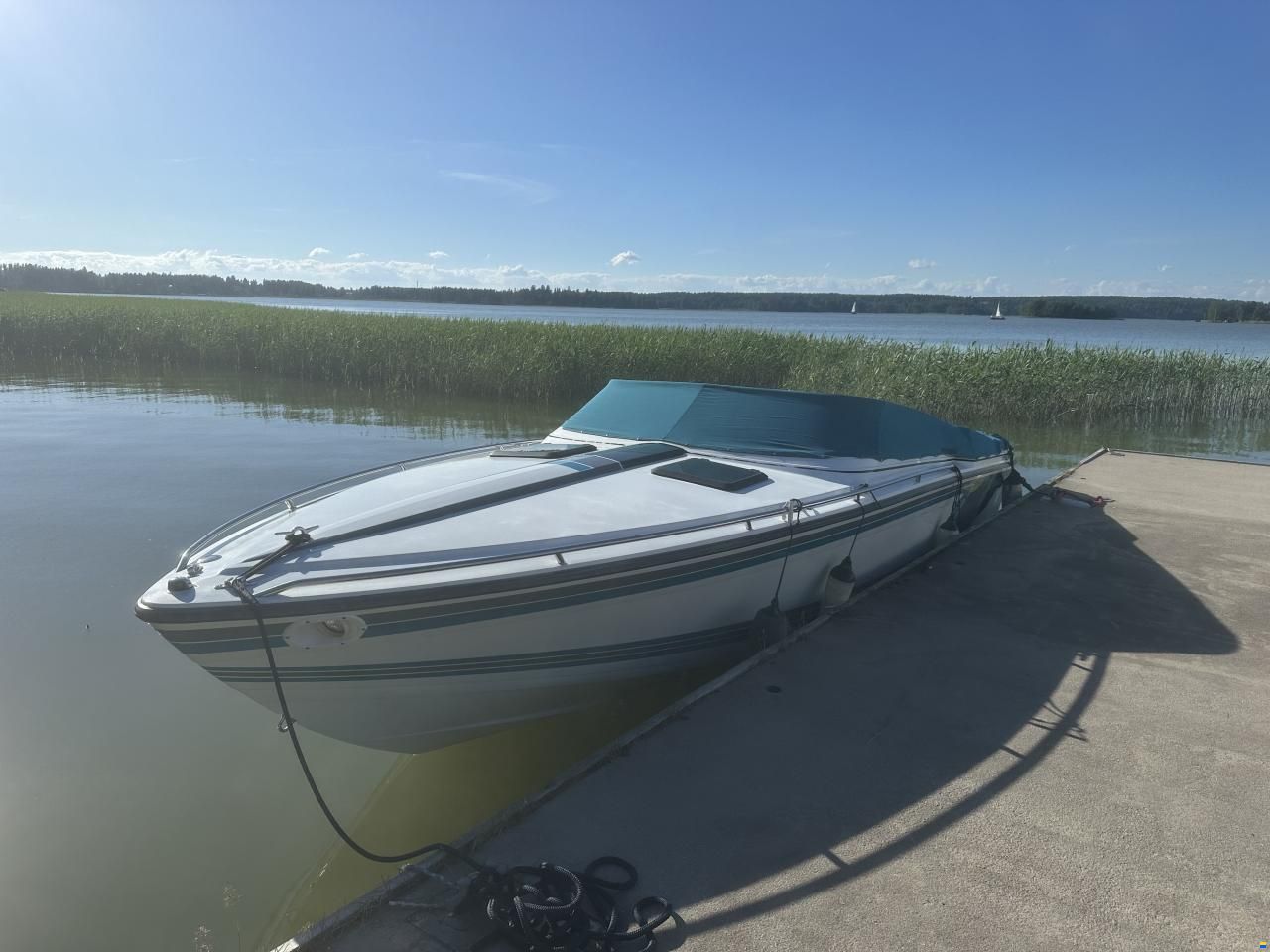Formula 242 LS