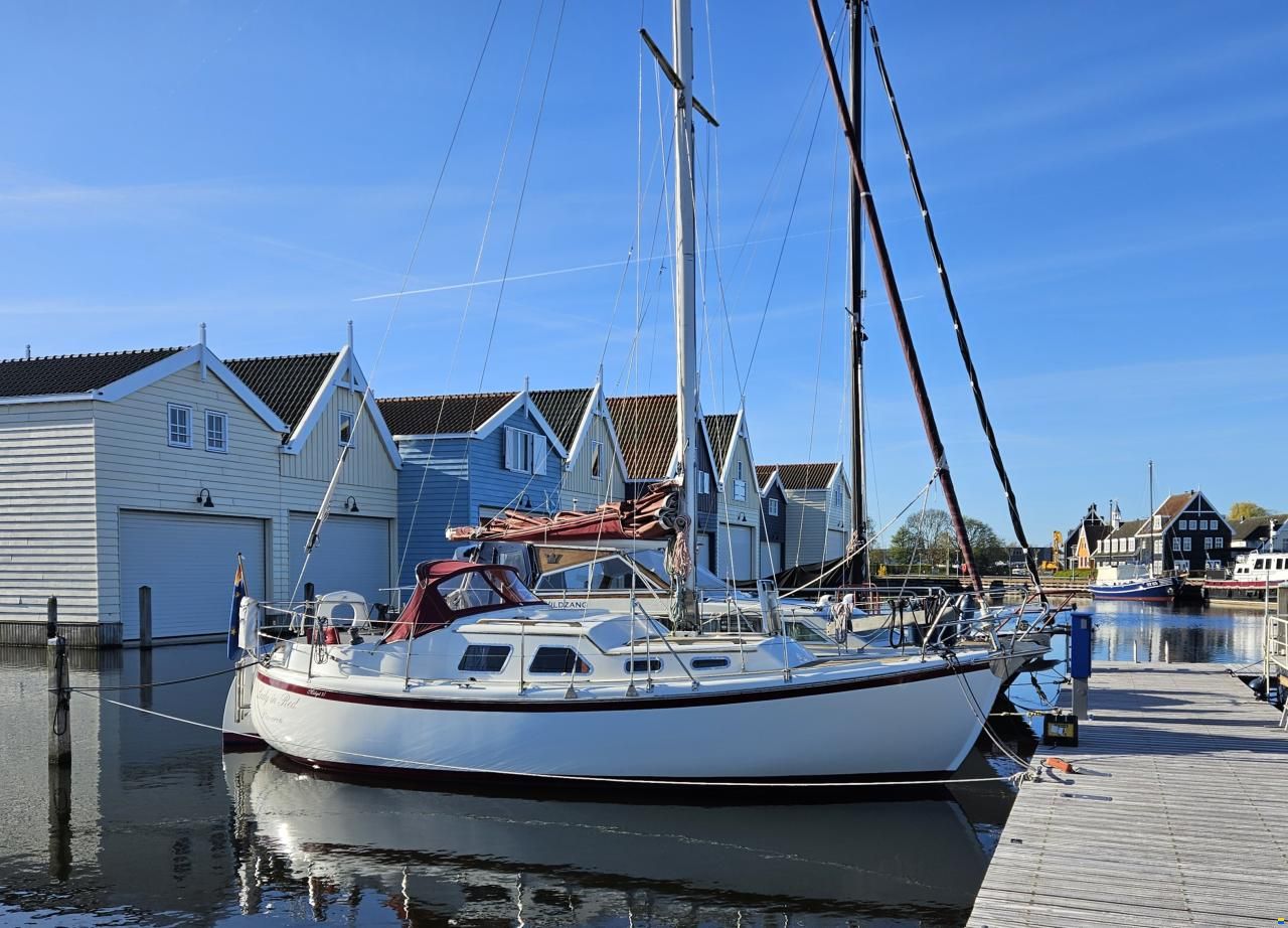 de Kloet Midget 31