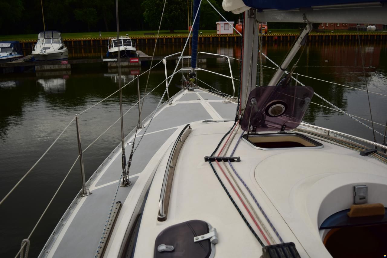 Tango 30