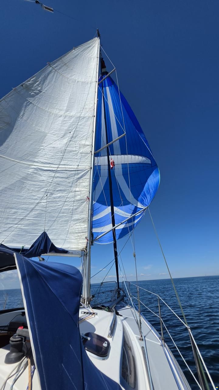 Tango 30