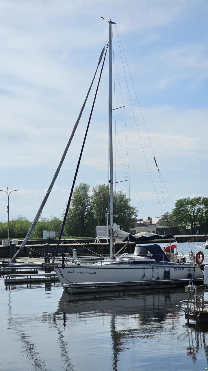 Tango 30
