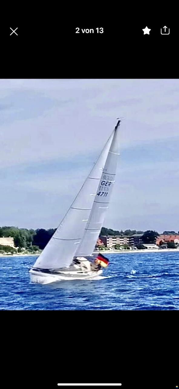 Bianca 36