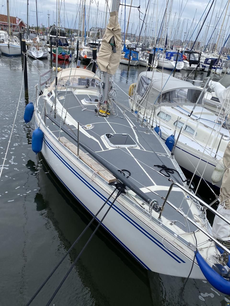 Bianca 36