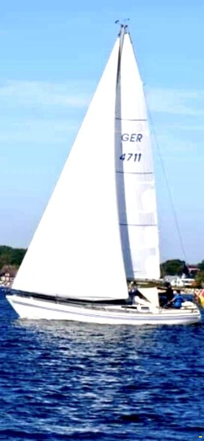 Bianca 36