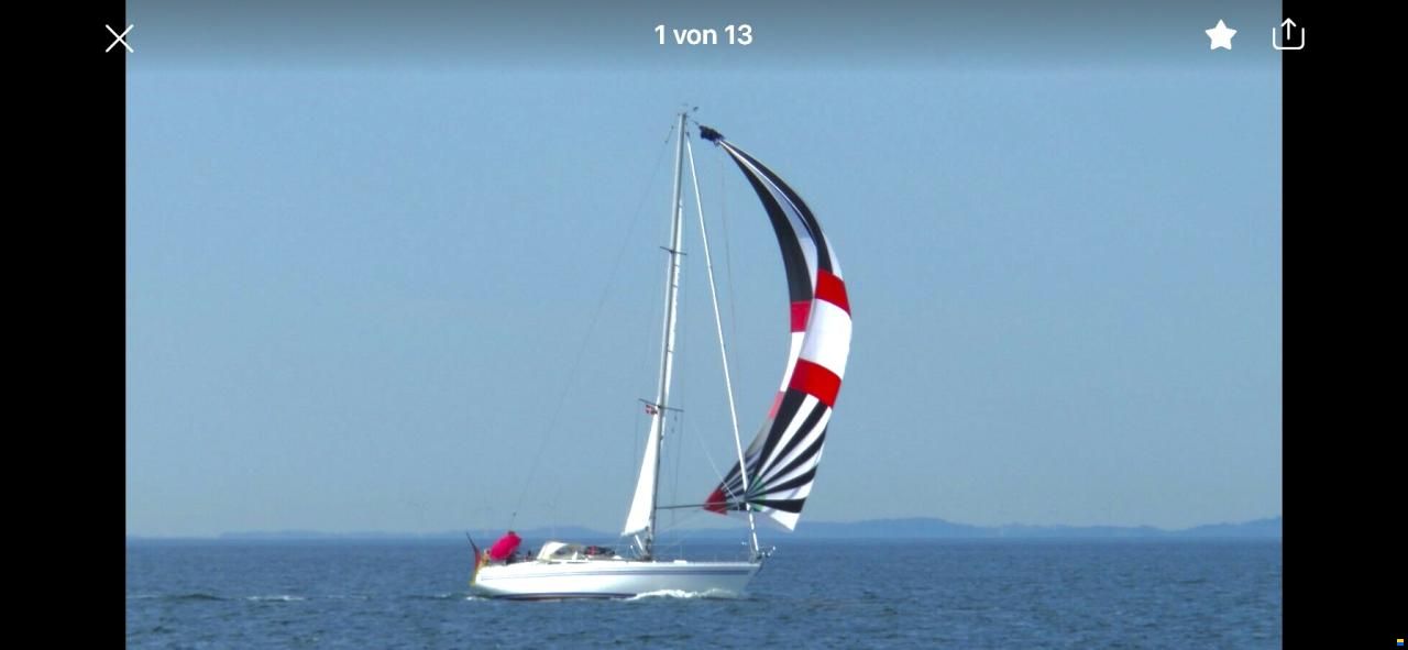 Bianca 36