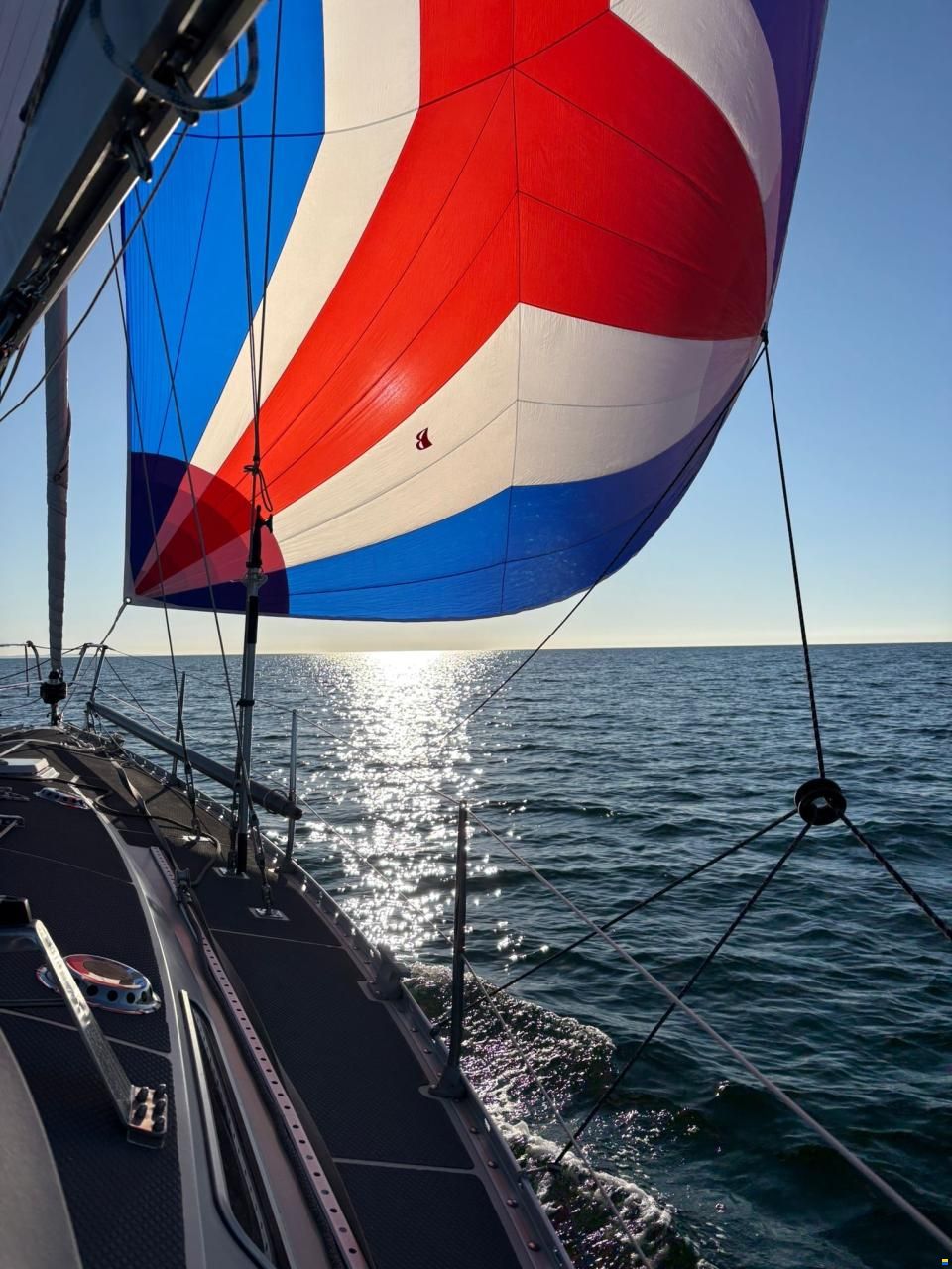 Bianca 36