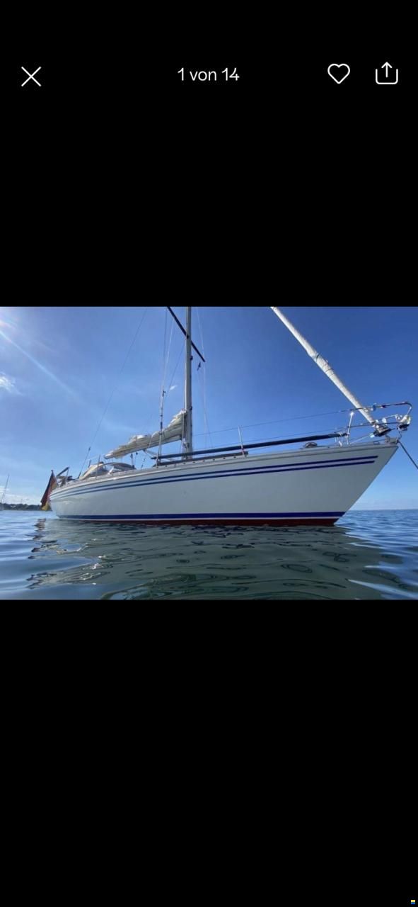 Bianca 36