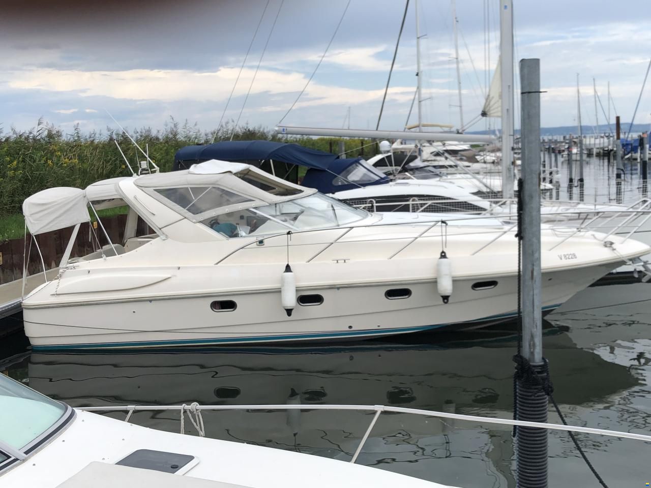 Windy 33 Mistral