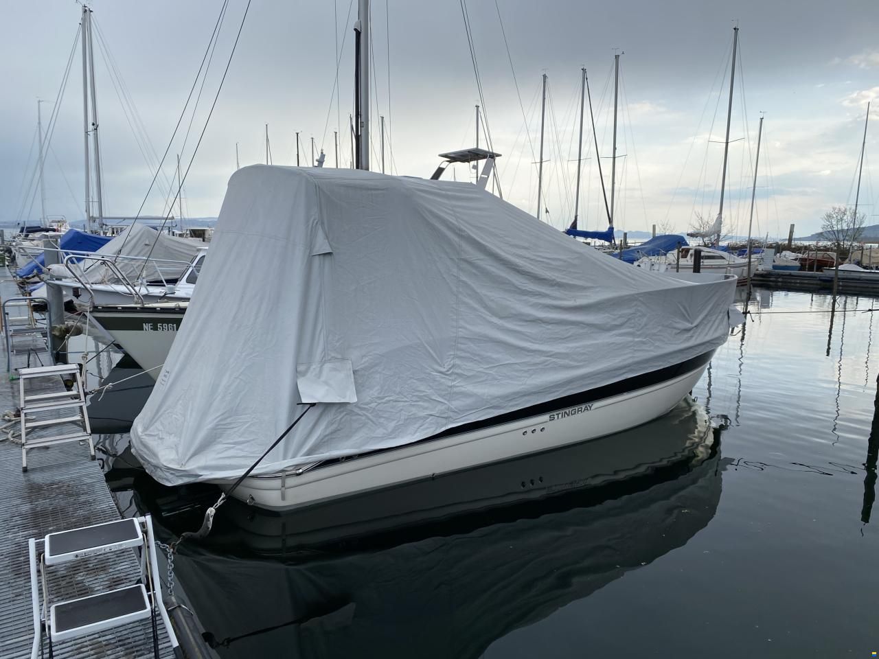 Stingray 250 CS