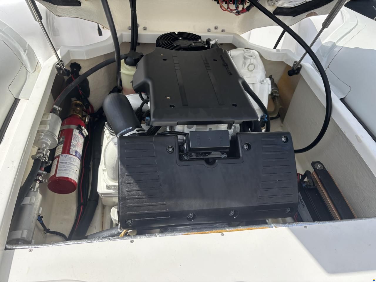 Pirelli J29 Jet Tender