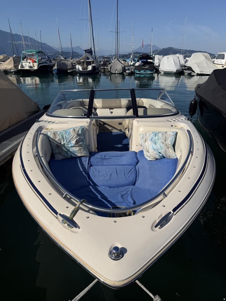Century Arabian 21