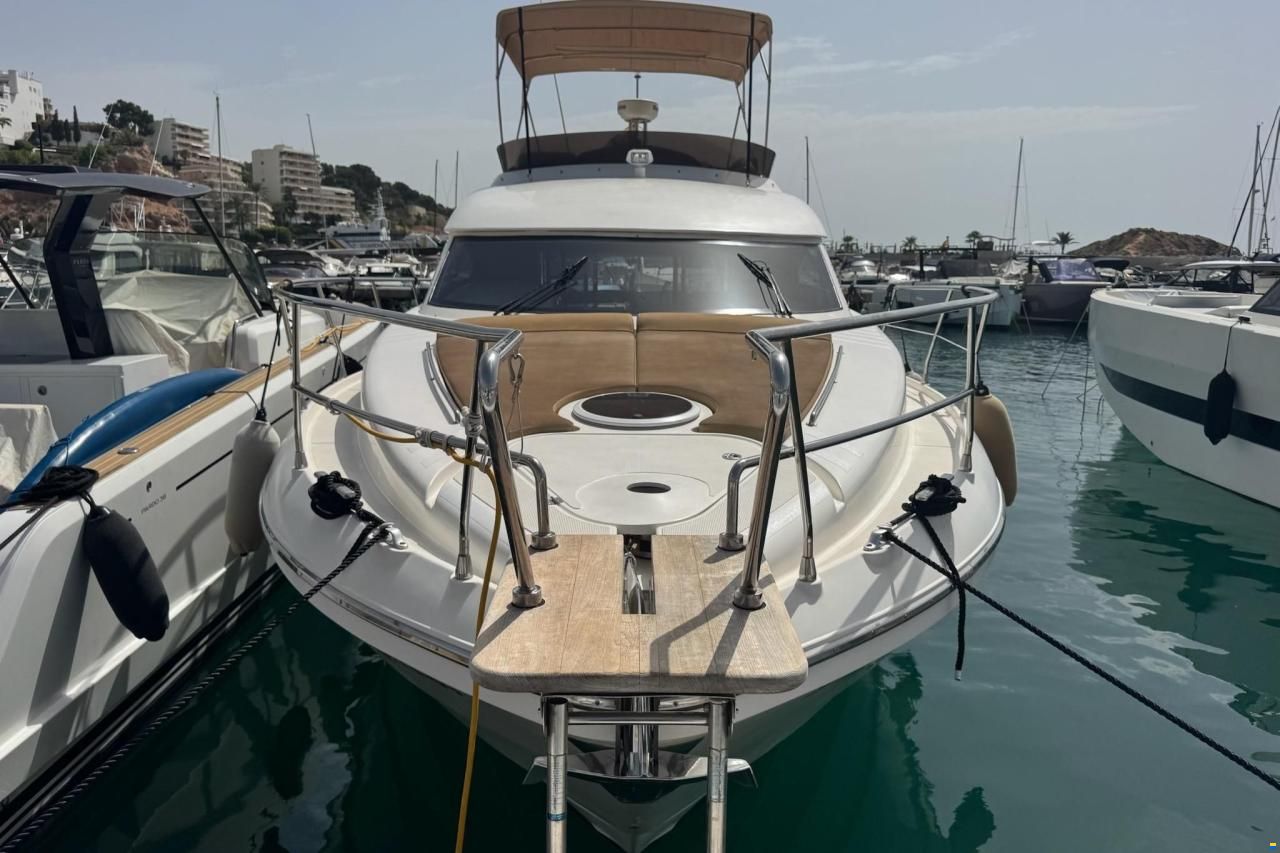 Astondoa 394