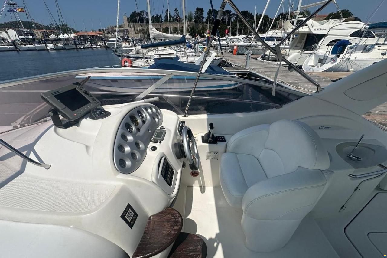 Sessa Oyster 30