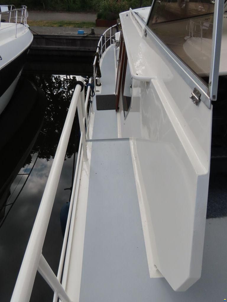 Palma 40