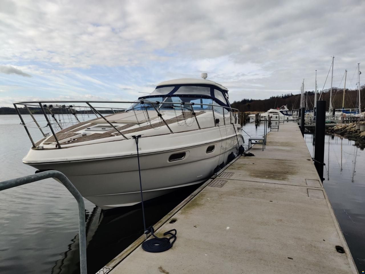 Sealine S41