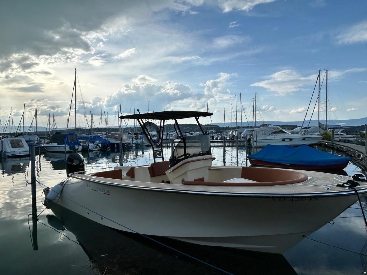 Lilybaeum LEVANZO 25
