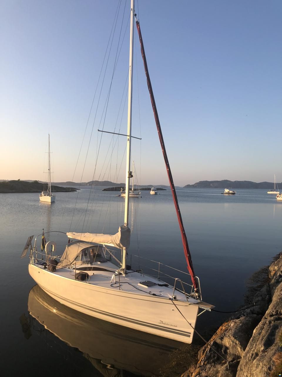 Delphia 28