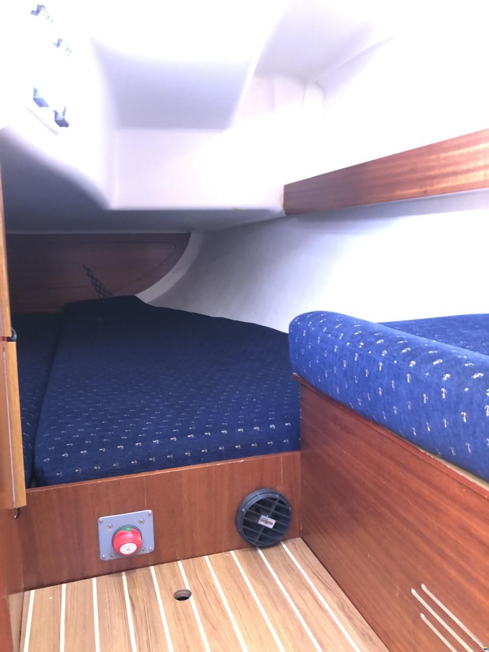 Delphia 28