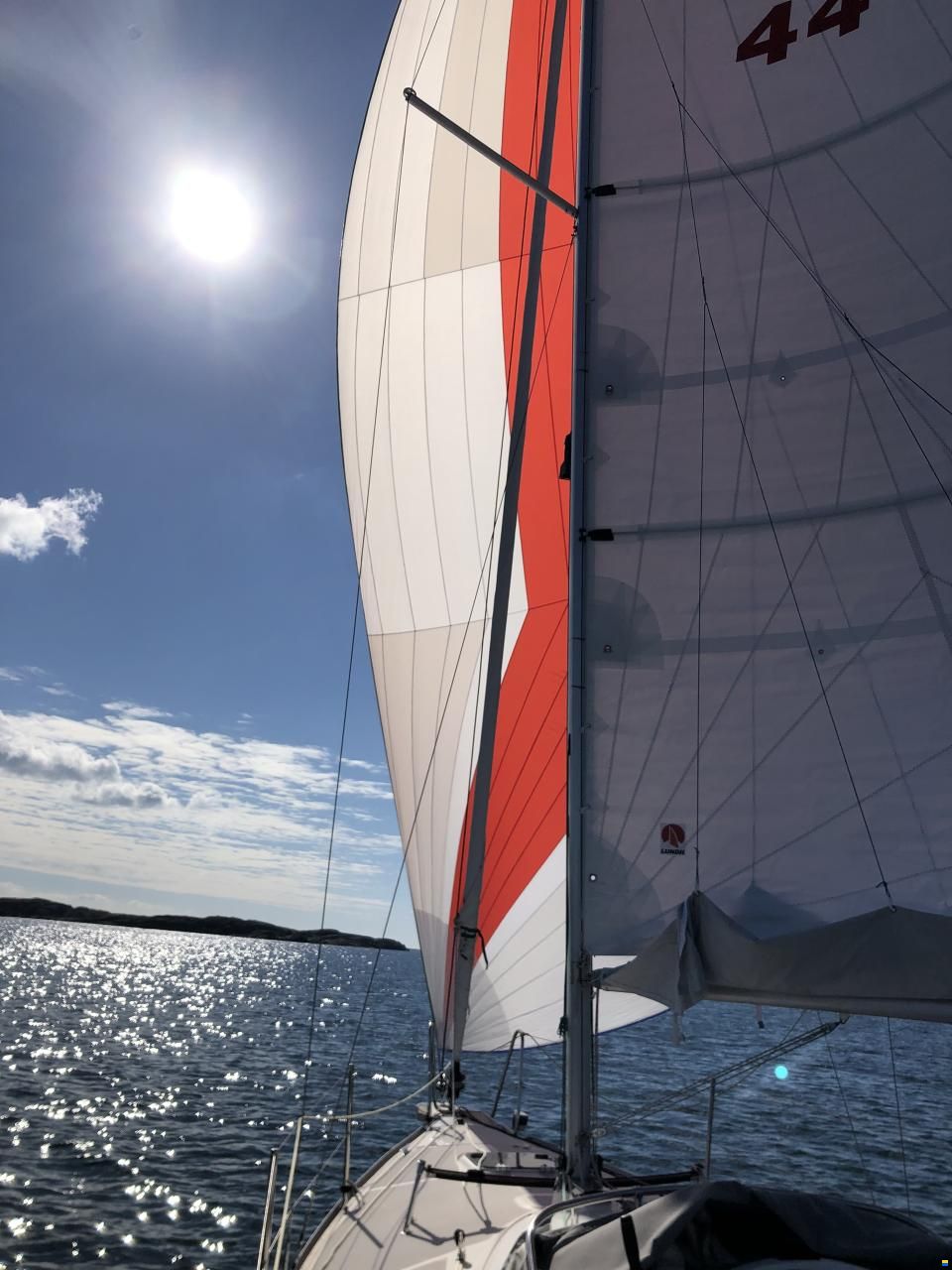 Delphia 28