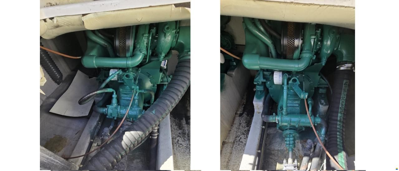Rodman 800 BIMOTOR