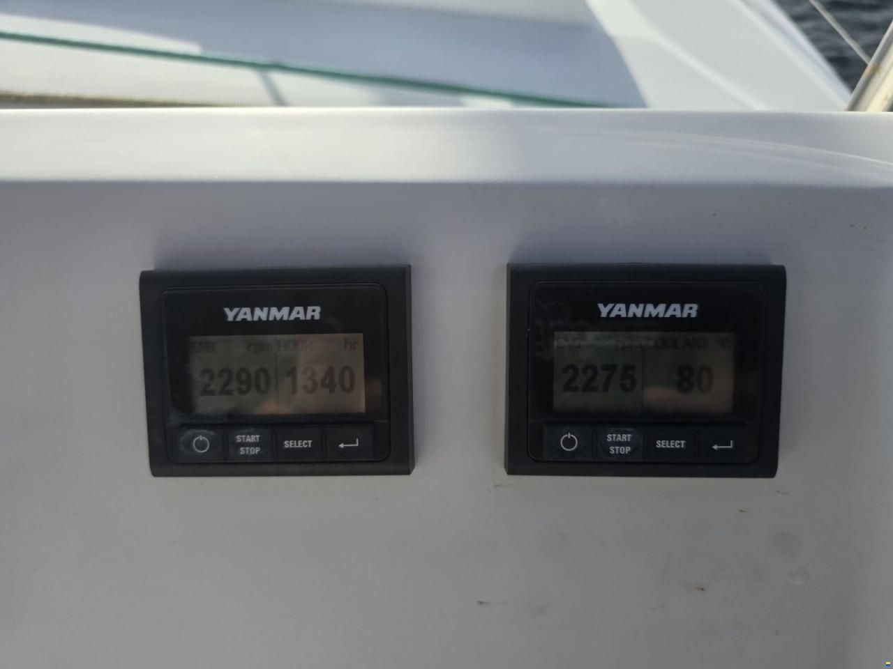 Bali 40 Catspace