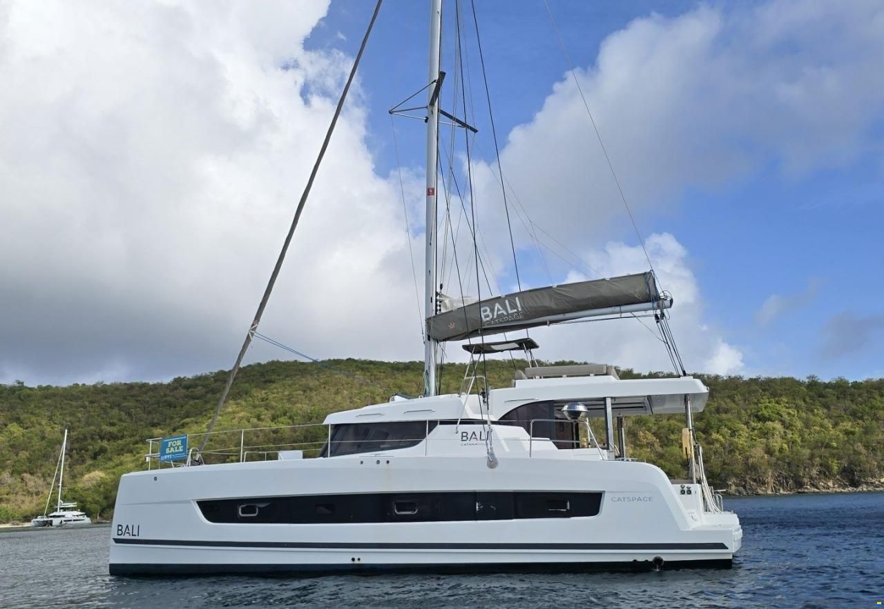 Bali 40 Catspace
