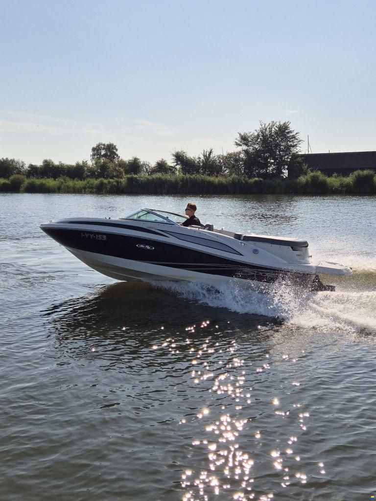 Sea Ray 185 Sport