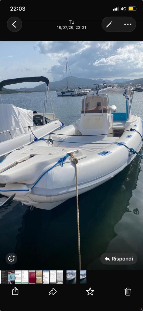 Stingher 700