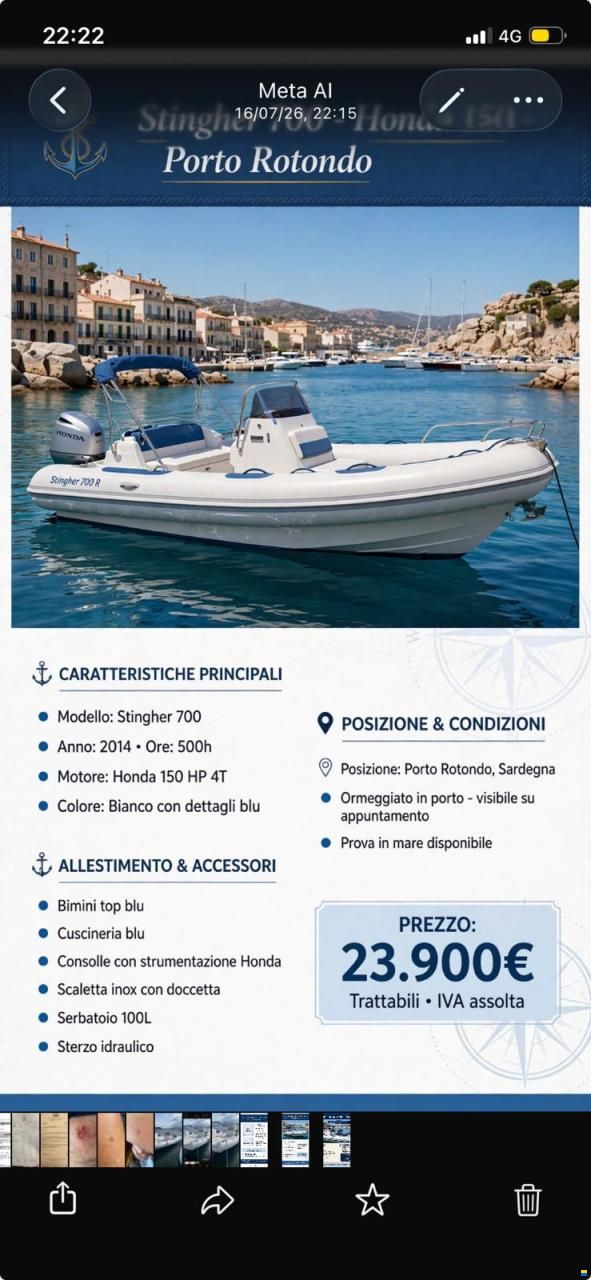 Stingher 700