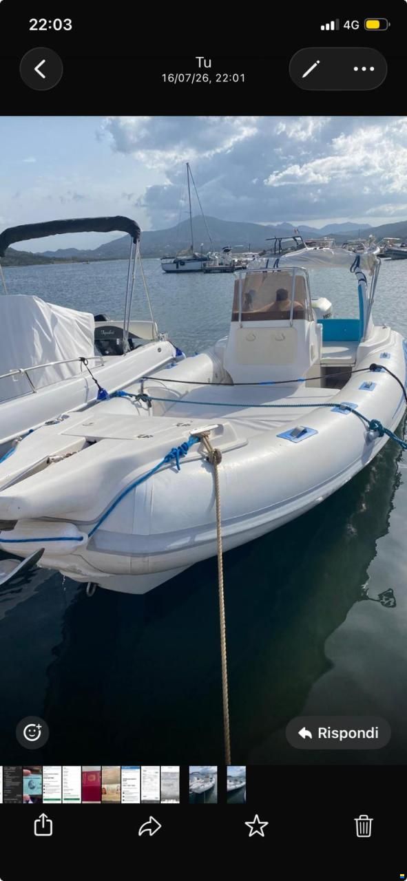 Stingher 700