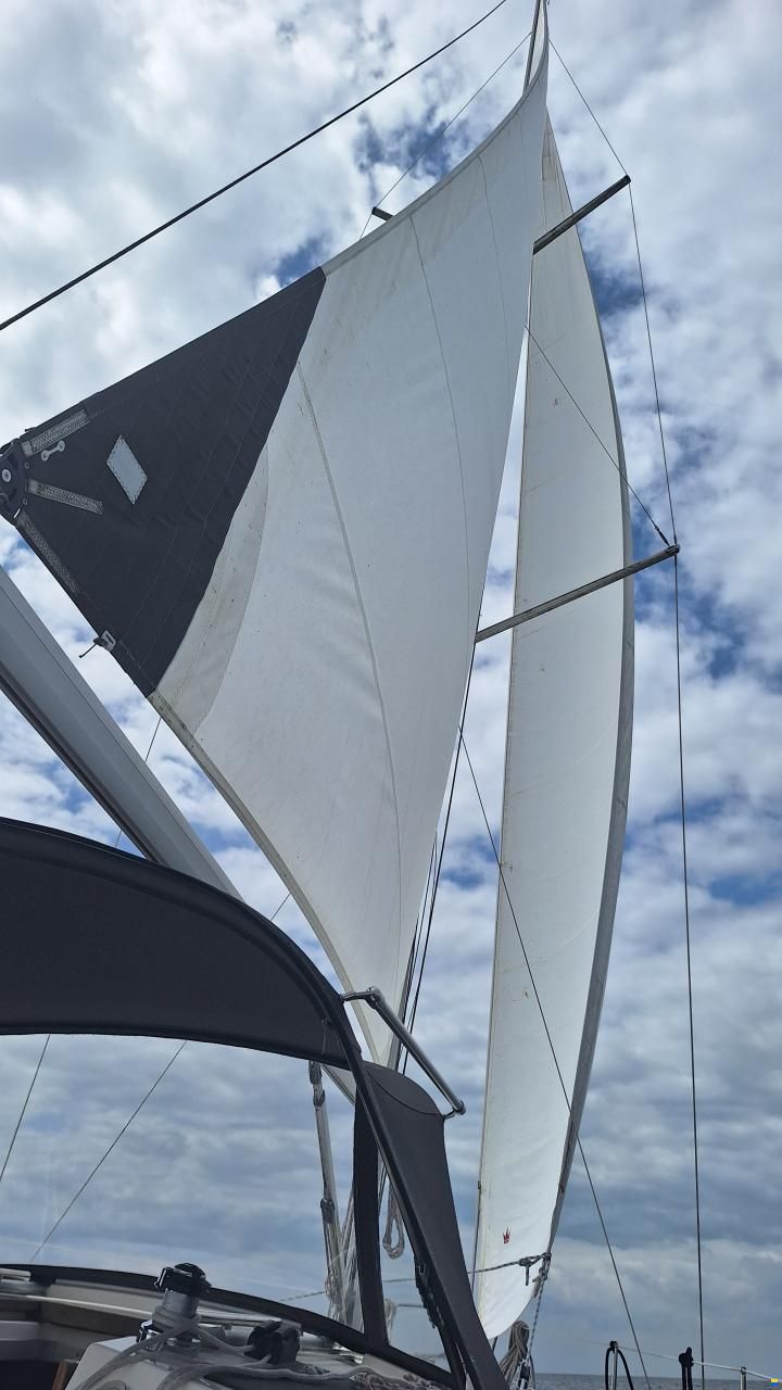 Cruiser 32