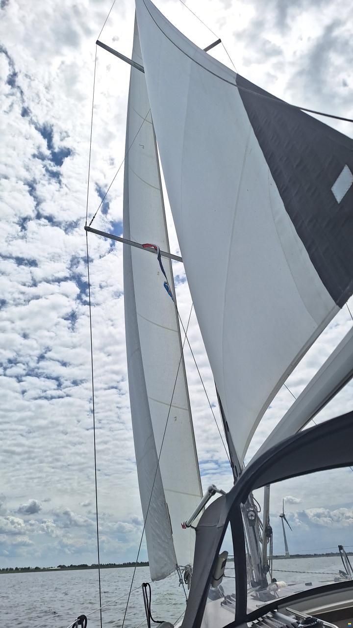Cruiser 32
