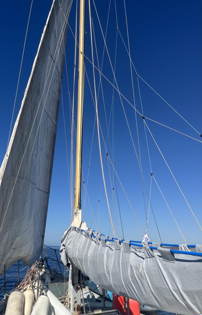 Jachtbouw Noord Nederland Suncoast 54