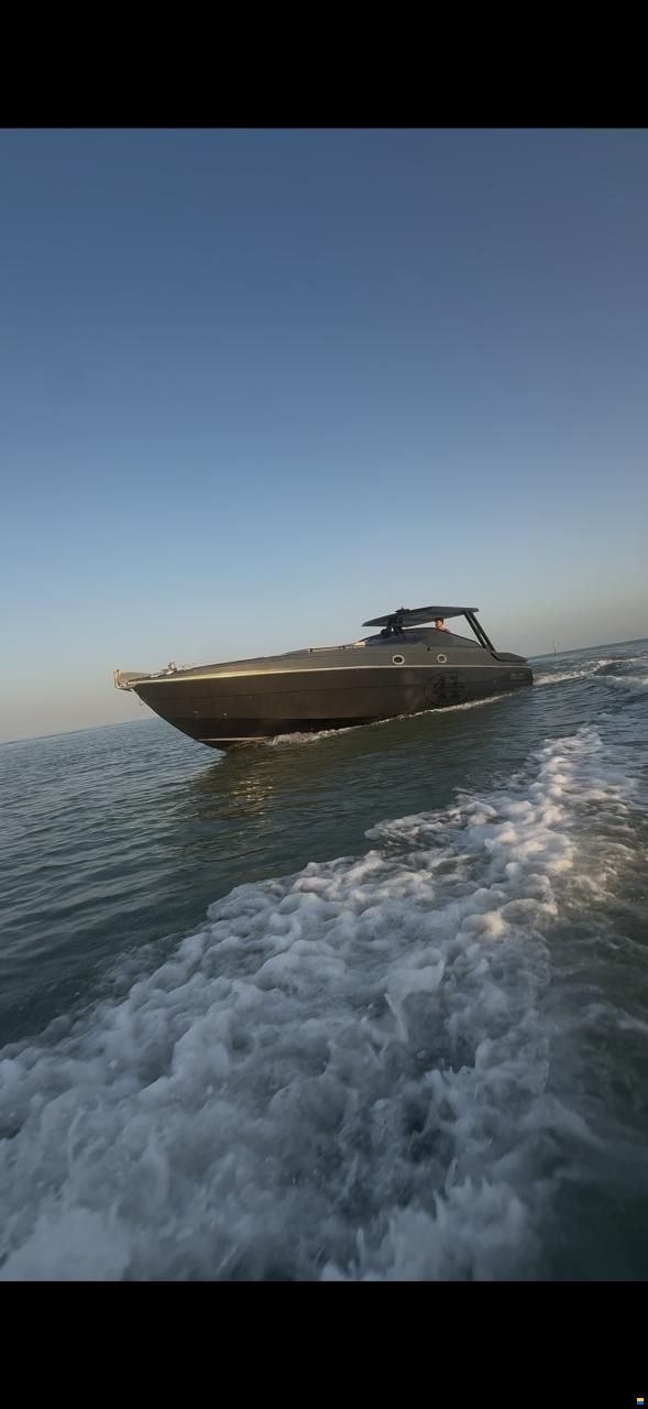 Cigala & Bertinetti Champion 41