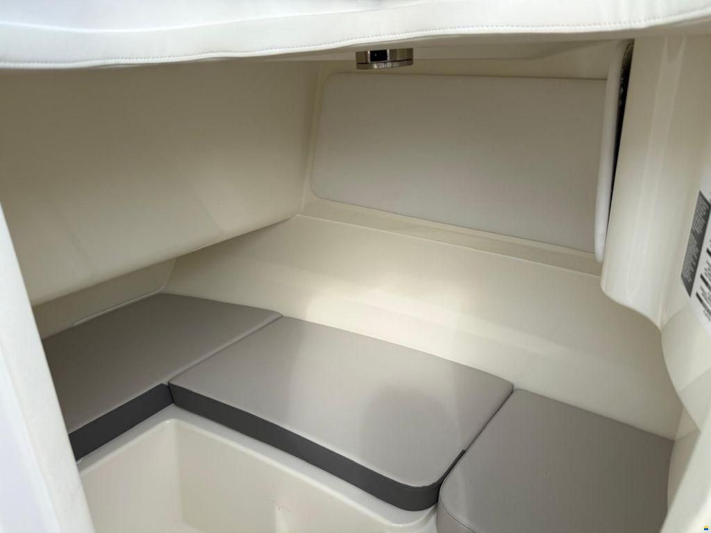 Sea Ray SDX 230