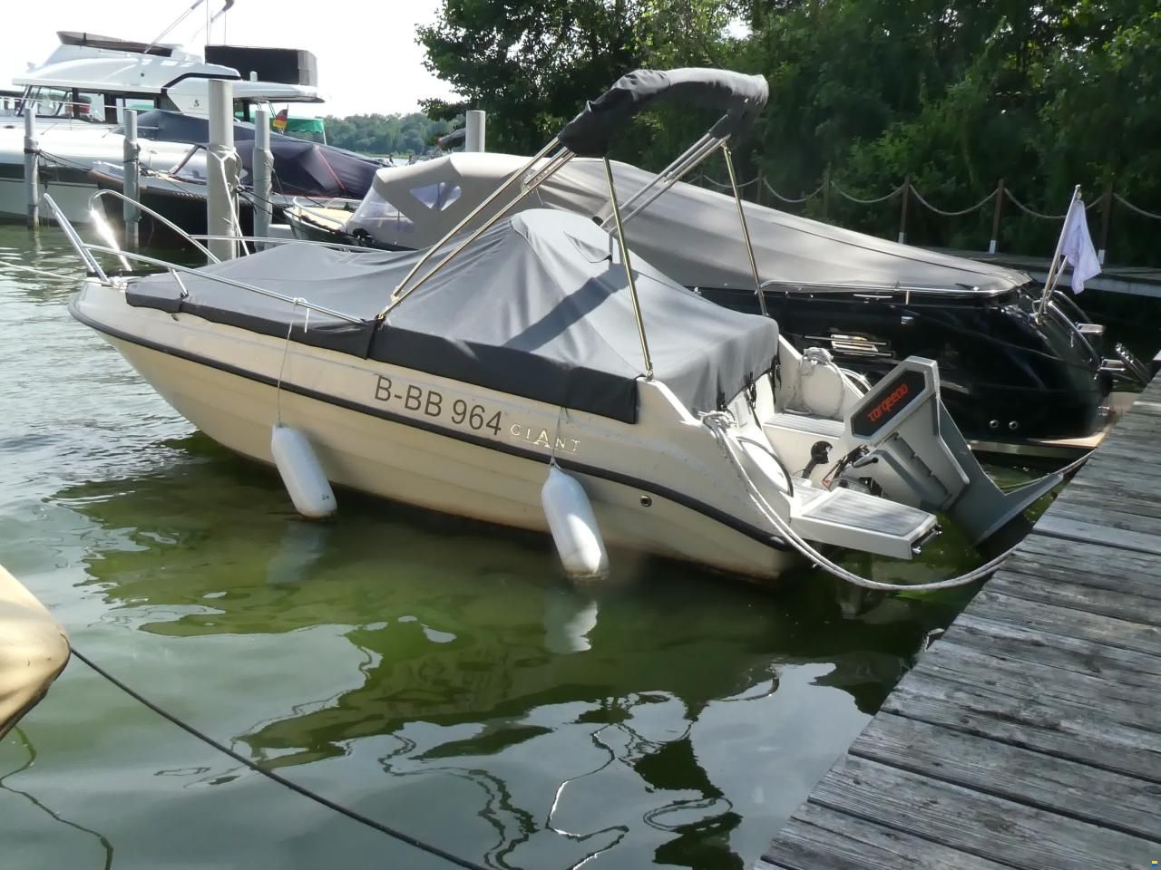 Marino 475