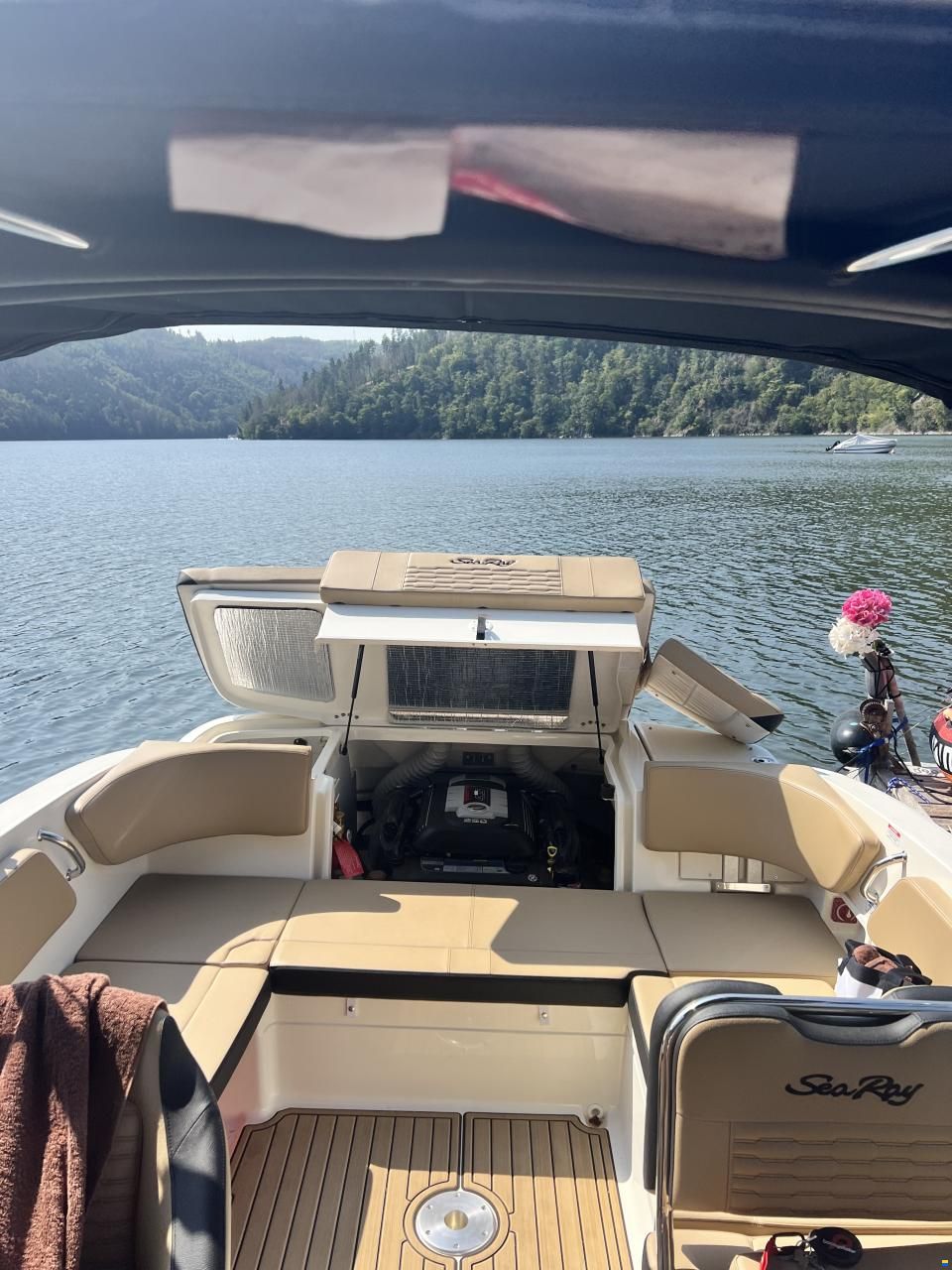 Sea Ray SPX 210