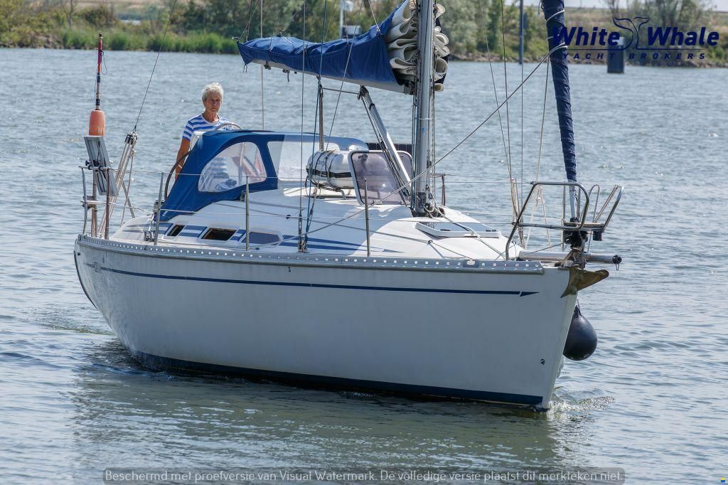 Elan 34