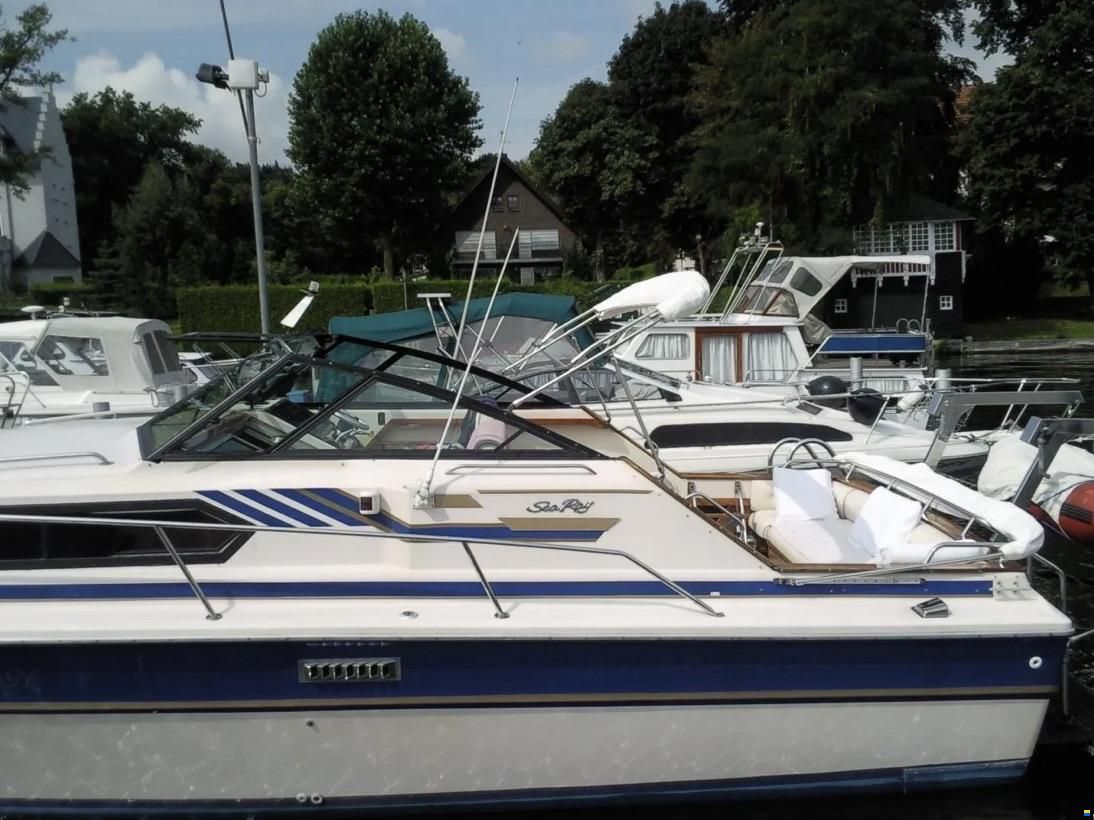 Sea Ray 300 Express