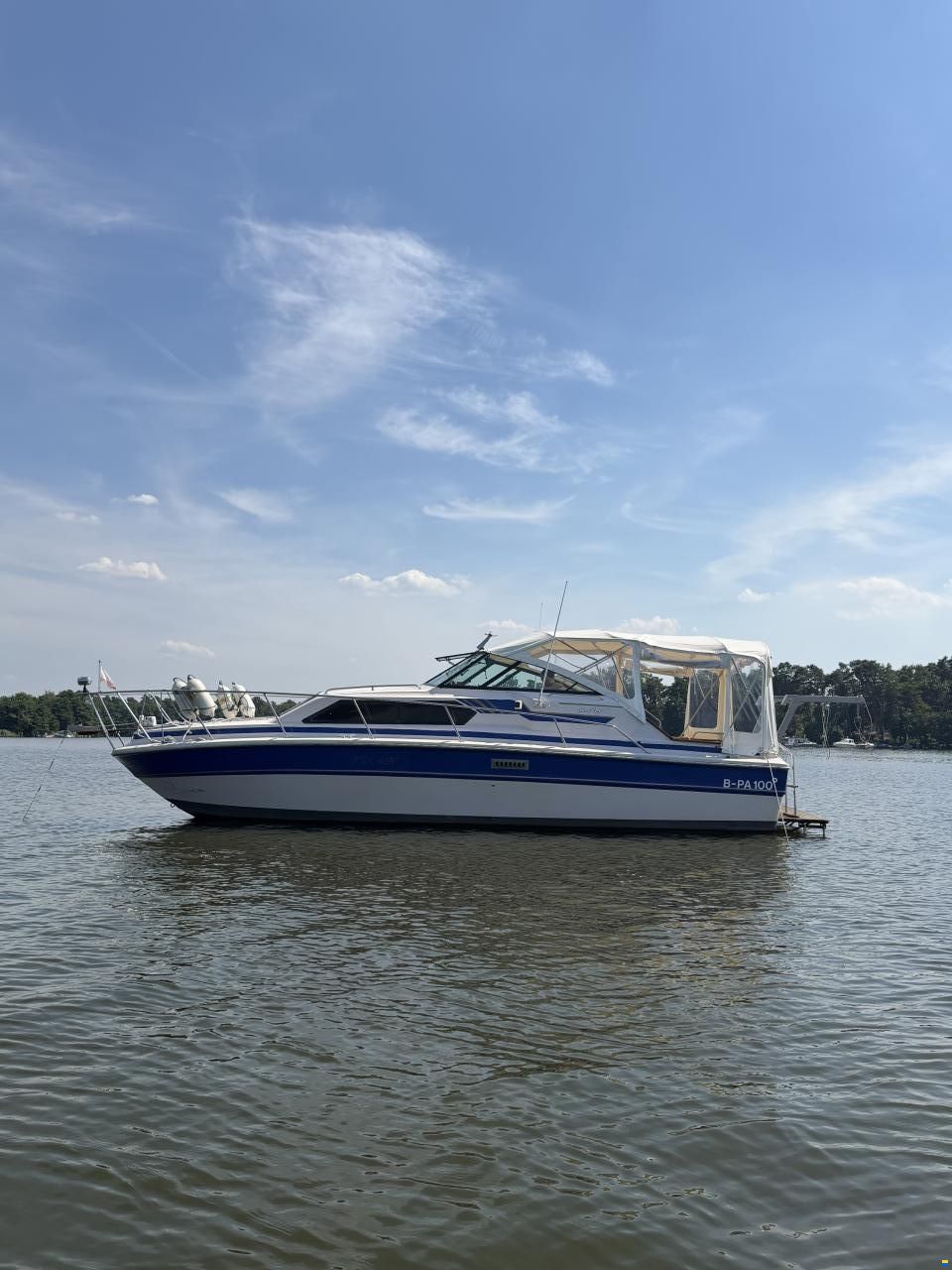 Sea Ray 300 Express