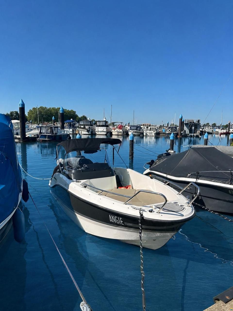 Quicksilver 455 Active Open