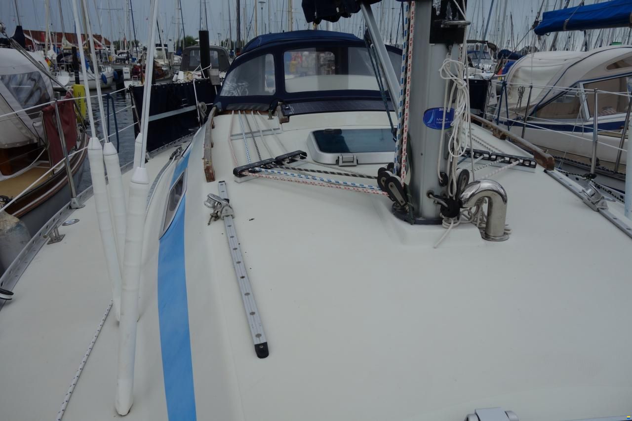 Elan 33