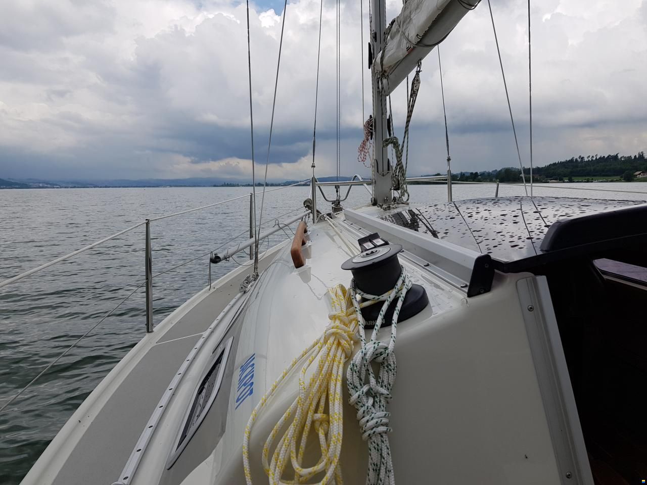 Dehlya 25