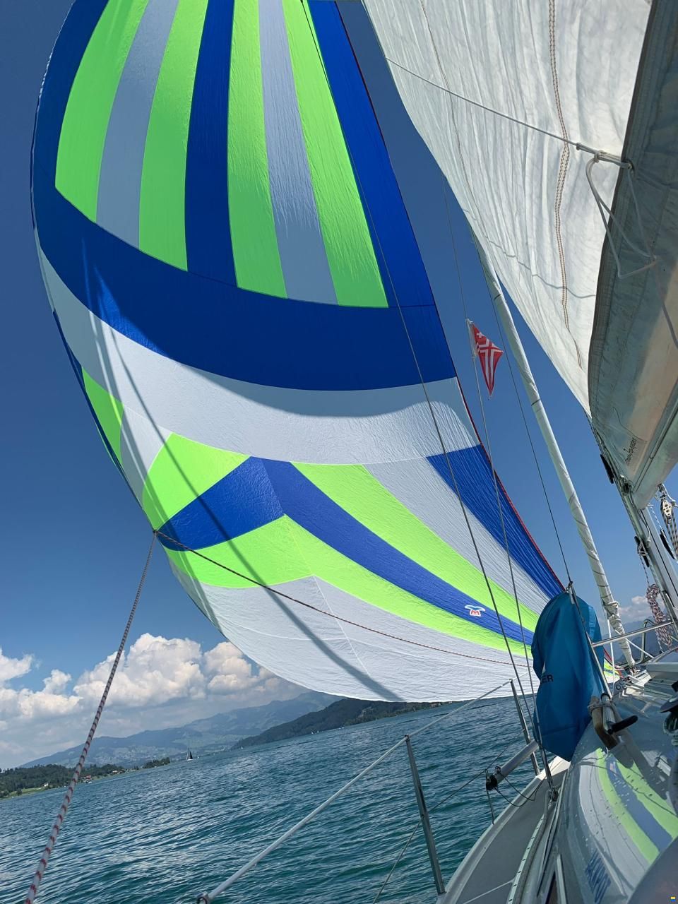 Dehlya 25