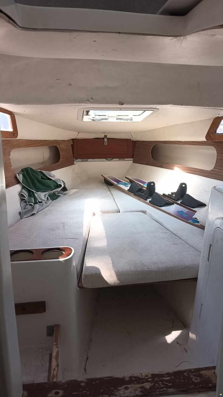 Cabin 20