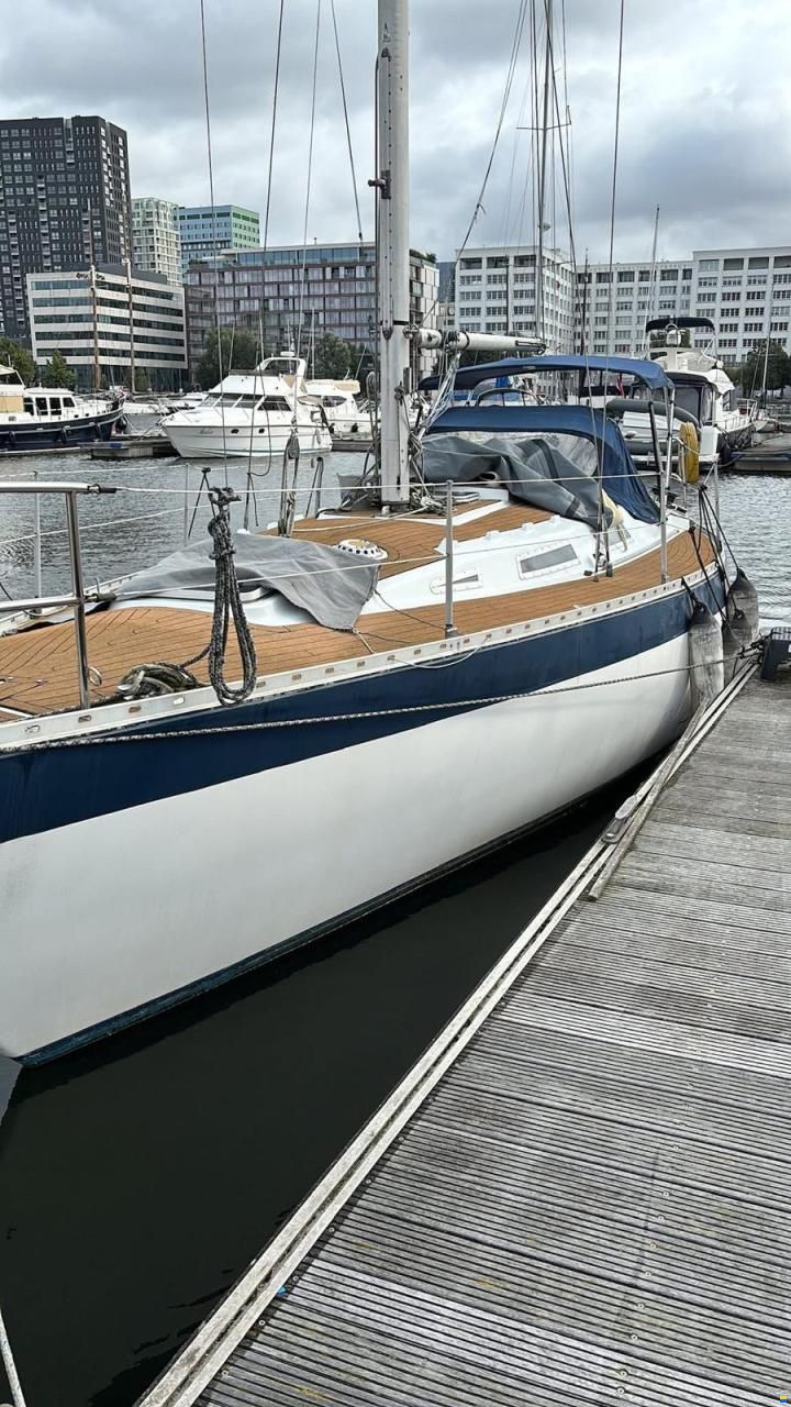 Wauquiez Gladiator 33