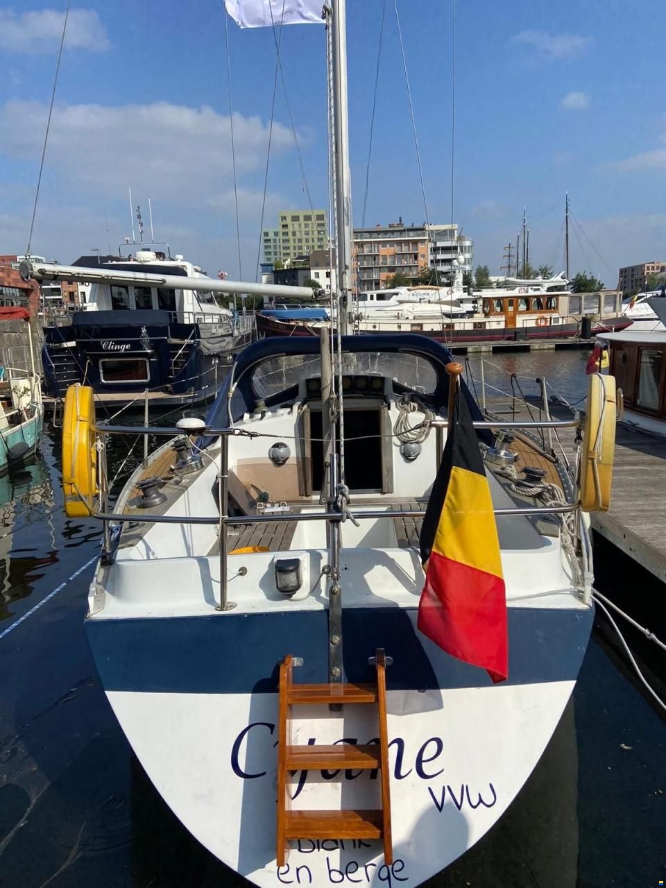 Wauquiez Gladiator 33