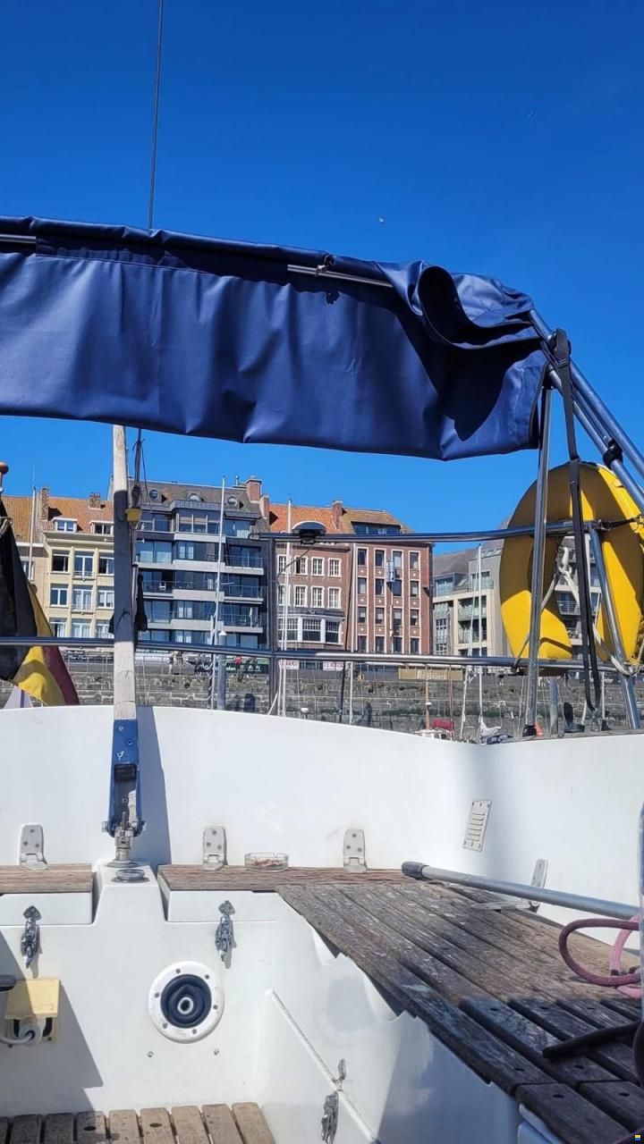 Wauquiez Gladiator 33