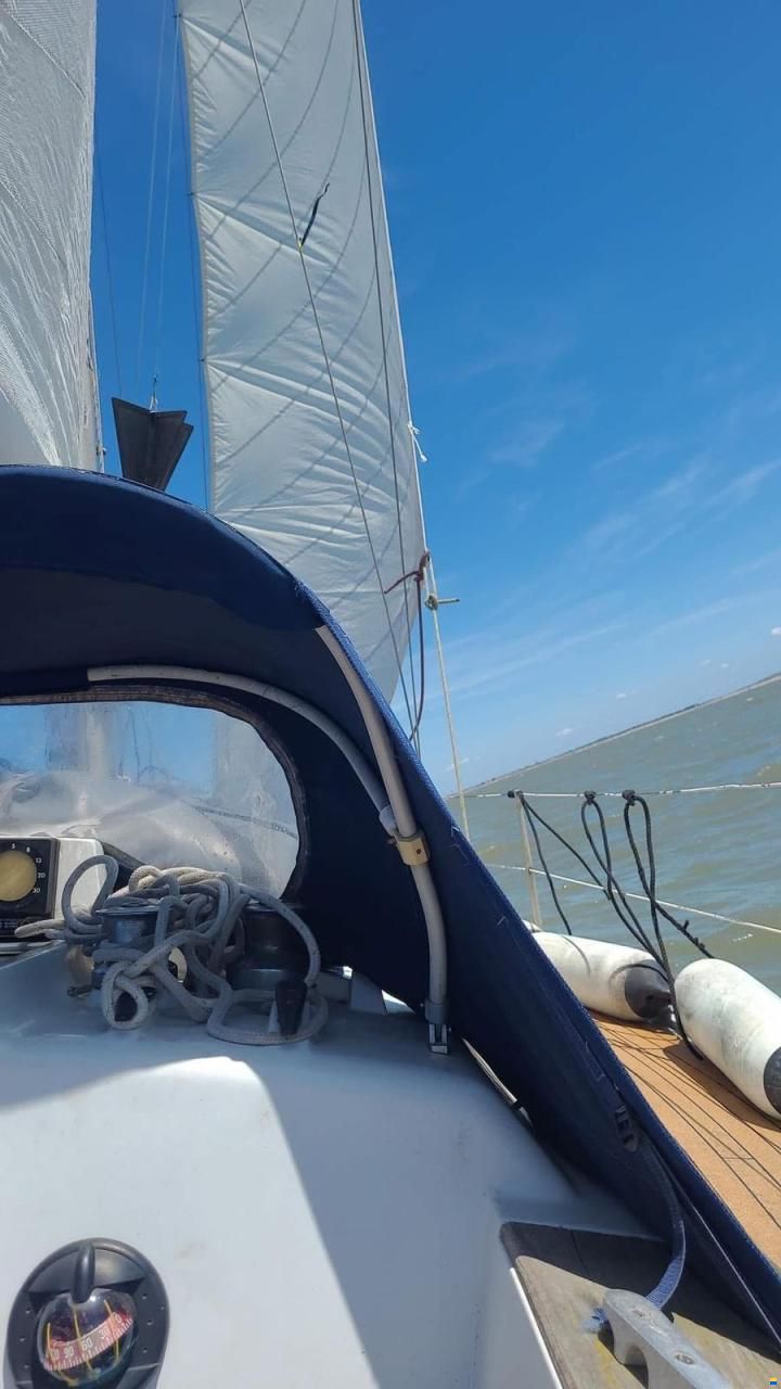 Wauquiez Gladiator 33